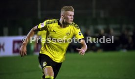 Borussia Dortmund - 1. FSV Mainz 05