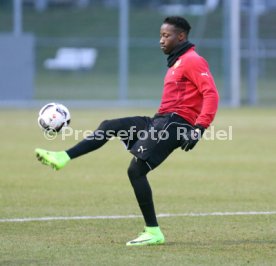 VfB Stuttgart Training