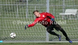 VfB Stuttgart Training