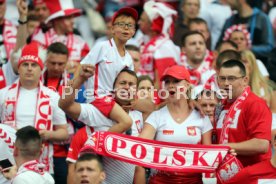 UEFA Frankreich Euro 2016 Deutschland - Polen