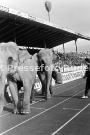 02.11.91 VfB Stuttgart - Stuttgarter Kickers