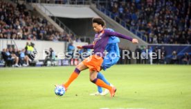 TSG 1899 Hoffenheim - Manchester City
