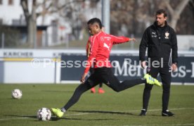 VfB Stuttgart Training