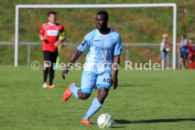Stuttgarter Kickers