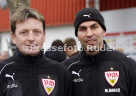 VFB trainer