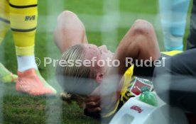 22.01.22 TSG 1899 Hoffenheim - Borussia Dortmund