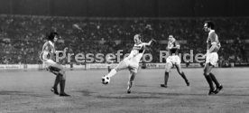 VfB Stuttgart - Cosmos New York