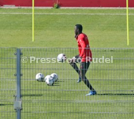 VfB Stuttgart Training