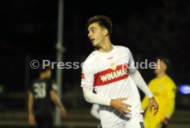 06.01.24 VfB Stuttgart - SpVgg Greuther F&uuml;rth