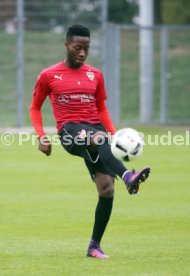 VfB Stuttgart Training