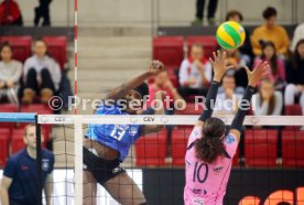 Allianz MTV Stuttgart - Beziers VB
