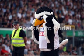 SSV Ulm 1846 - Eintracht Frankfurt