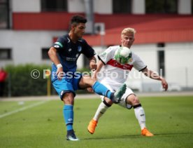 U19 VfB Stuttgart - U17 TSG 1899 Hoffenheim