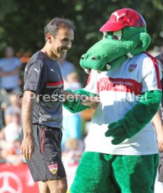 VfB Stuttgart Training