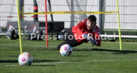 06.11.23 VfB Stuttgart Training
