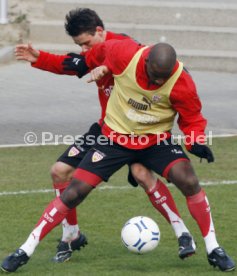 Cacau