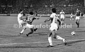 VfB Stuttgart - Cosmos New York