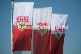 28.03.22 VfB Stuttgart Training
