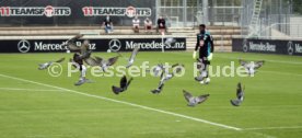 05.08.20 VfB Stuttgart - Racing Straßburg