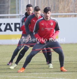 VfB Stuttgart Training