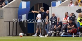 18.04.26 TSG 1899 Hoffenheim - Borussia Dortmund
