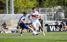 06.04.24 U17 VfB Stuttgart - U17 TSG 1899 Hoffenheim