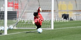 25.03.25 VfB Stuttgart Training