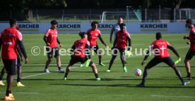21.09.22 VfB Stuttgart Training