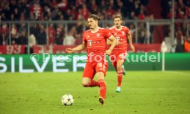 04.10.22 FC Bayern M&uuml;nchen - FC Viktoria Pilsen