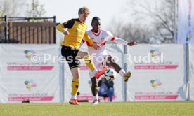08.02.25 VfB Stuttgart II - SG Dynamo Dresden