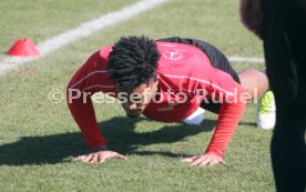 VfB Stuttgart Training