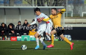 VfB Stuttgart - SG Dynamo Dresden