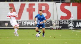 14.09.24 U17 VfB Stuttgart - U17 TSG 1899 Hoffenheim