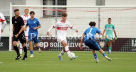 14.09.24 U17 VfB Stuttgart - U17 TSG 1899 Hoffenheim