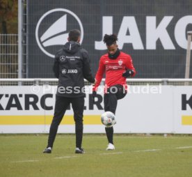 VfB Stuttgart Training