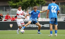 14.09.24 U17 VfB Stuttgart - U17 TSG 1899 Hoffenheim