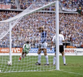 FIFA WM 1982