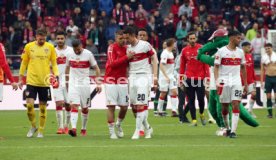VfB Stuttgart - VfL Wolfsburg