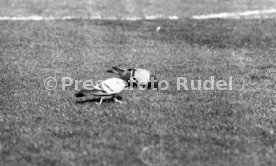 03.05.86 DFB-Pokal Finale FC Bayern M&uuml;nchen - VfB Stuttgart