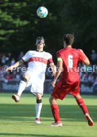 VFB Stuttgart-Fan Auswahl Spiel