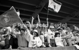 25.05.88 PSV Eindhoven - Benfica Lissabon