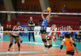 08.11.20 Allianz MTV Stuttgart - SC Potsdam