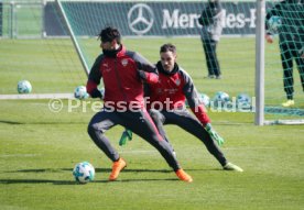 VfB Stuttgart Training