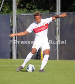 FC Wacker Innsbruck - VfB Stuttgart
