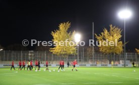 VfB Stuttgart Training