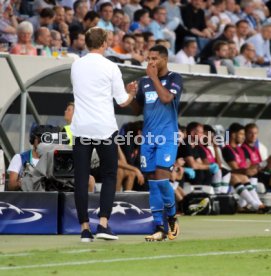 TSG 1899 Hoffenheim - FC Liverpool
