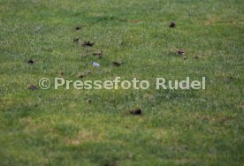 29.08.20 Stuttgarter Kickers - 1. FC Rielasingen-Arlen