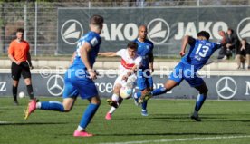 16.03.24 VfB Stuttgart II - SGV Freiberg