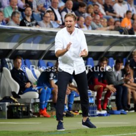 TSG 1899 Hoffenheim - FC Liverpool