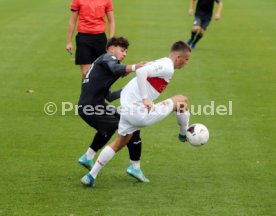 U19 VfB Stuttgart - U17 TSG 1899 Hoffenheim